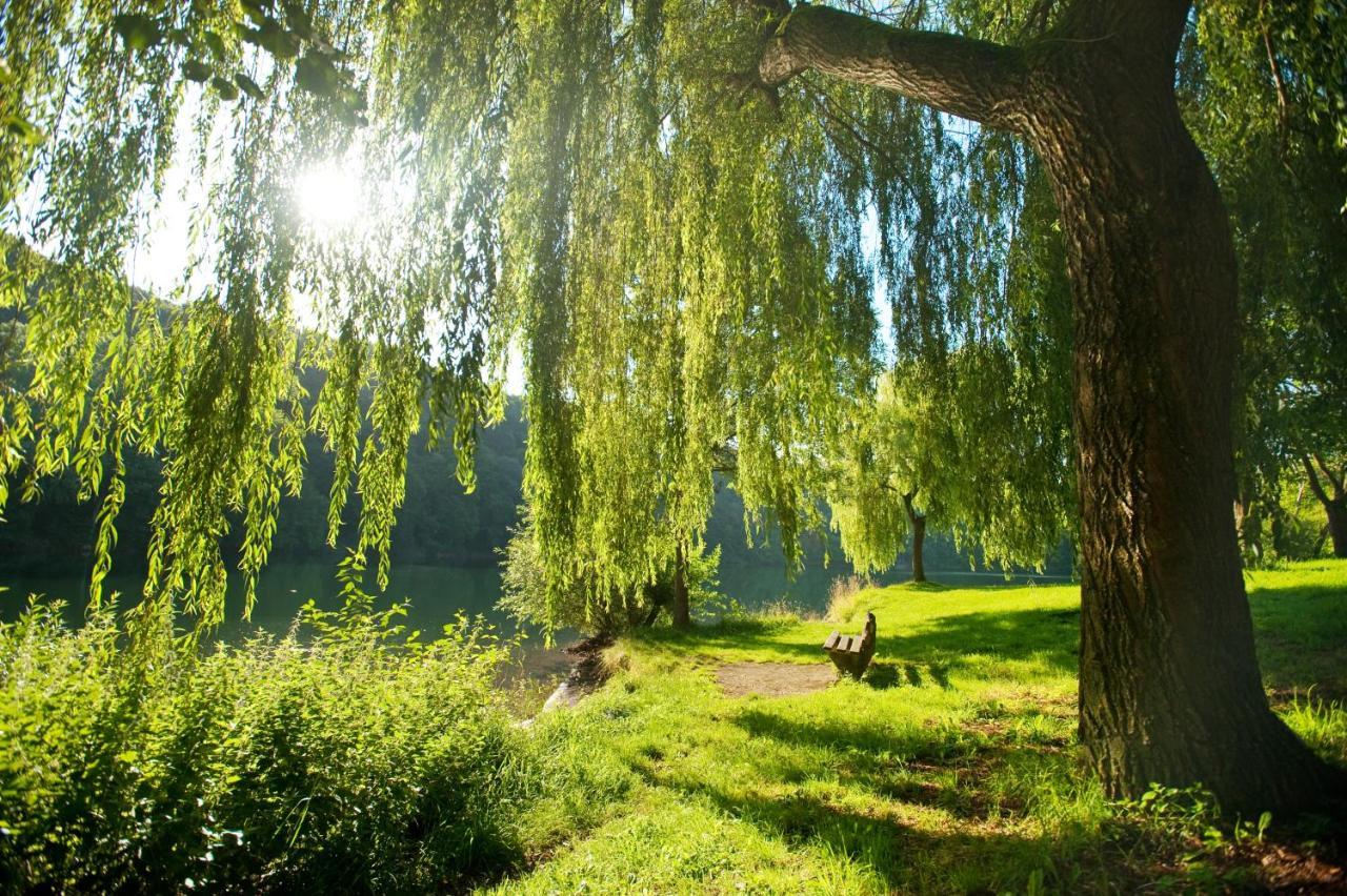 Ferienhaus Am Sauerbrunnen Daun Dış mekan fotoğraf