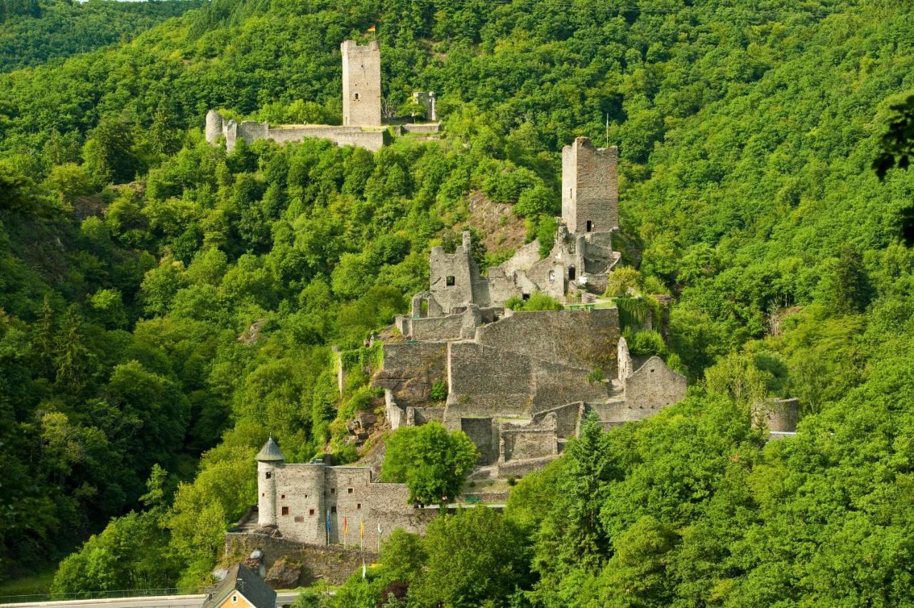 Ferienhaus Am Sauerbrunnen Daun Dış mekan fotoğraf