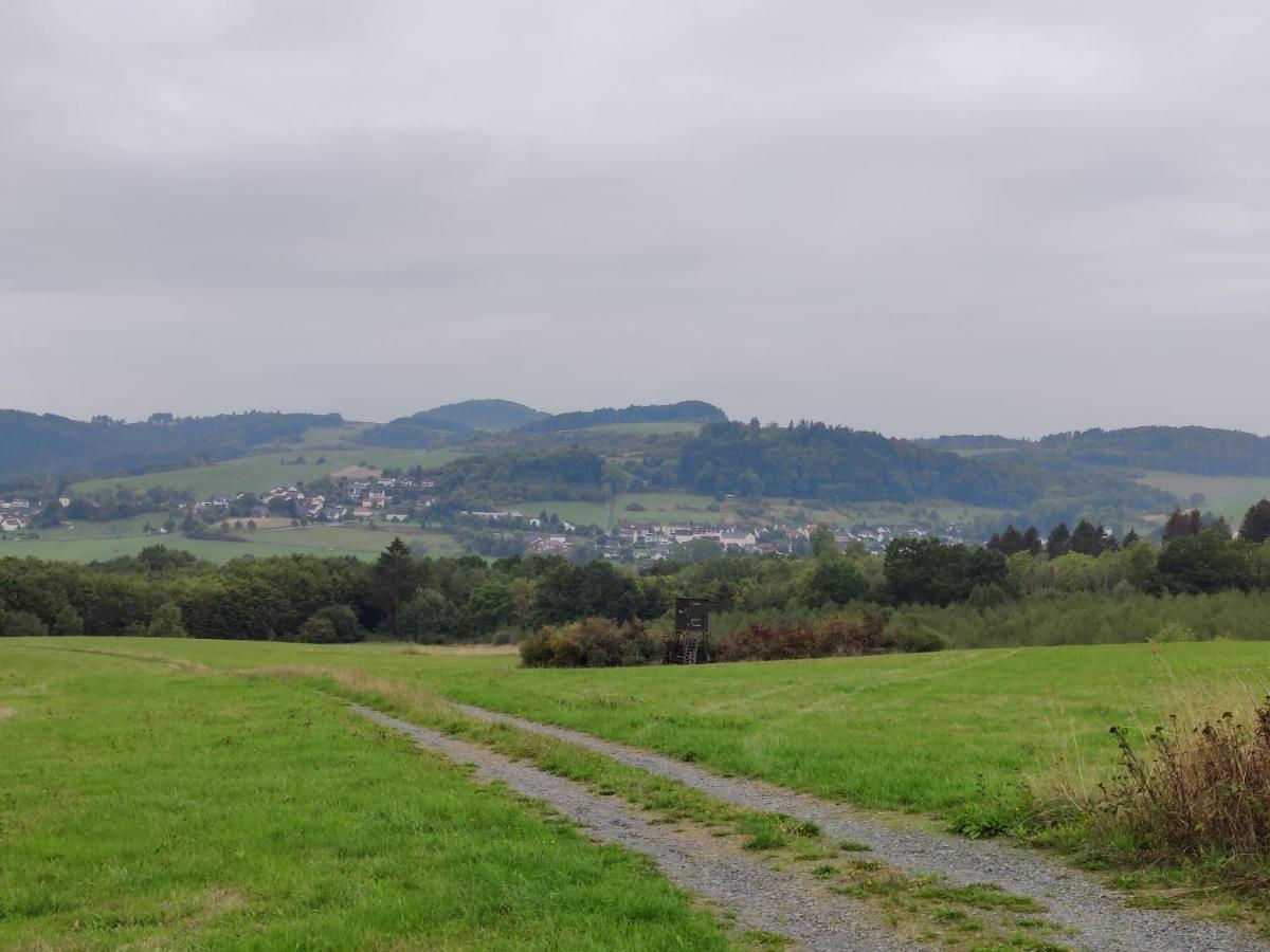 Ferienhaus Am Sauerbrunnen Daun Dış mekan fotoğraf