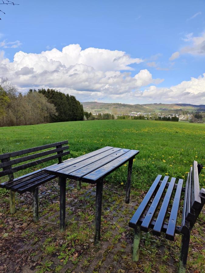 Ferienhaus Am Sauerbrunnen Daun Dış mekan fotoğraf